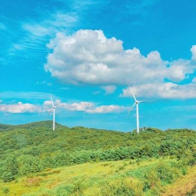 萝莉养成计划百度版手游下载
