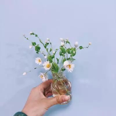 妖怪正传降魔破解版下载